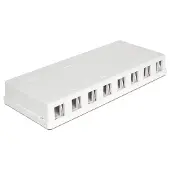 DeLOCK Uitvoerdoos | voor 8 Keystone modules | wit