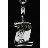 MOOYE ® - Collectie Zilveren Diploma hanger n bedel