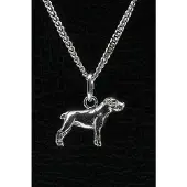 MOOYE ® - Collectie Zilveren Amerikaanse bulldog ongecoupeerd ketting hanger - klein
