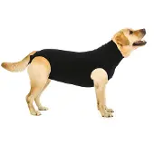 Suitical International B.V. Suitical Recovery Suit Hond - Zwart