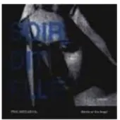 OUTHERE Trio Mediæval - Words Of The Angel (CD)
