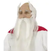 Vegaoo Asterix en Obelix Panoramix pruik en baard