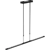 Steinhauer Hanglamp Humilus LED 1482zw zwart