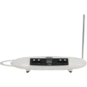 Moog Theremini
