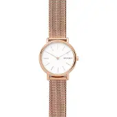 Skagen Signatur SKW2694