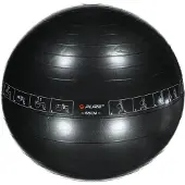 Pure - Fitnessbal - Met oefeningen - 65 cm - Inclusief handpomp