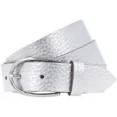 Vanzetti Riem zilver