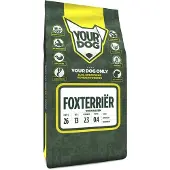 Yourdog foxterri