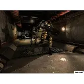 F.E.A.R. - Gold