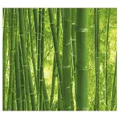 A.S. Création Papierbehang 9387-18 Authentic Walls 2 bamboe groen