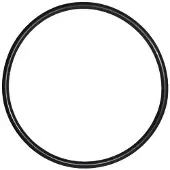 Astral O-Ring voor Deksel Sena zwembadpomp