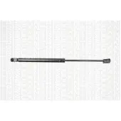 TRISCAN Gasdrukveer, kofferruimte 8710 25238 Triscan voor o.a. RENAULT