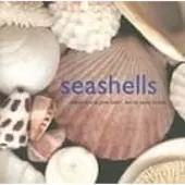Abrams Libri Seashells - Sandy Carlson