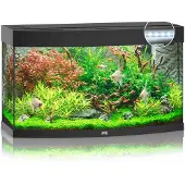Juwel Vision Led 180 Aquarium