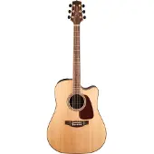 Takamine GD93CE-NAT elektrisch-akoestische westerngitaar