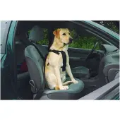 Beeztees wandel- en autogordel hond L