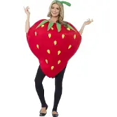 Smiffy Aardbeien kostuum (rood en groen)