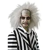 Rubies Beetlejuice pruik voor volwassenen Feestartikel