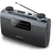 Muse Radio M058R