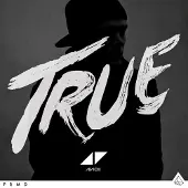 Universal Music True (Vinyl Edt)