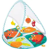 Fisher-Price Fold & Go Draagbare Gym
