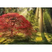 Heye Guiding Light (1000) - Legpuzzel