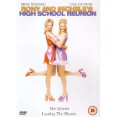 Disney Romy & Michelle High School Reunion Dvd