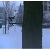Birdwise tuindecoratie Roodborstje cortenstaal
