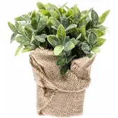 Emerald Kunst kruidenplant munt 19cm