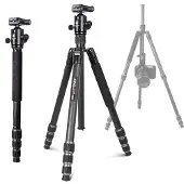 Kingjoy G55C+Q20 Carbon Statief