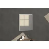 Brauer Onyx spiegel - 60x70cm - rechthoekig - aluminium-kleurig geborsteld frame SP-ON60RHA
