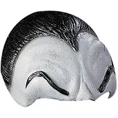 Widmann dracula latex headpiece