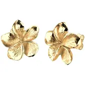 Elli Oorbellen 'Frangipani Blüte' goud