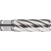 Rotec HSS Kernboor SILVER-LINE, weldon 19, ø29x55 - 536.2901W - 536.2901W