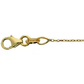 Glow Gouden Lengtecollier Anker 42+2 cm 201.2011.42