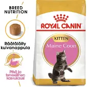 Royal Canin Maine Coon Kitten - Kattenvoer