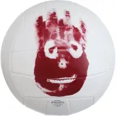 Wilson mr castaway volleybal - Volleybal - Wit Combi