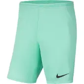 Nike Dri-FIT Park III Voetbalbroekje Turquoise