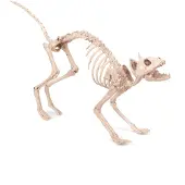 Smiffys - Cat Skeleton Prop Halloween Decoratie - Wit