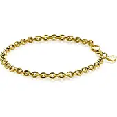 Zinzi zilveren armband geel verguld 19cm ZIA1153G