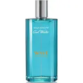 Davidoff Herengeuren Cool Water Wave Eau de toilette Heren 40ml