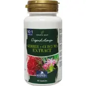 Hanoju Gember & kurkuma extract