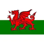Fostex Vlag Wales