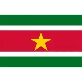 Fostex vlag Suriname, Surinaamse vlag