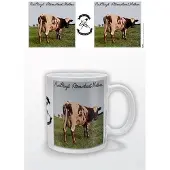 Pink floyd Atom Heart Mother - Mok