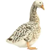 Hansa Grijze Gans Knuffel