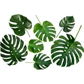VAN IKKE Muursticker Monstera blad