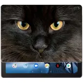 B2Ctelecom Lenovo Tab E10 Back Case Zwarte Kat