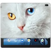 B2Ctelecom Lenovo Tab E10 Back Case Witte Kat