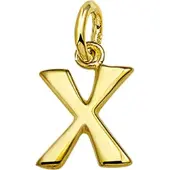 The Jewelry Collection Bedel Letter X - Goud